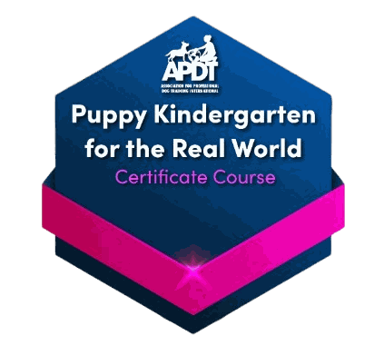 APDT Puppy Kindergarten for the Real World Certificate Course badge