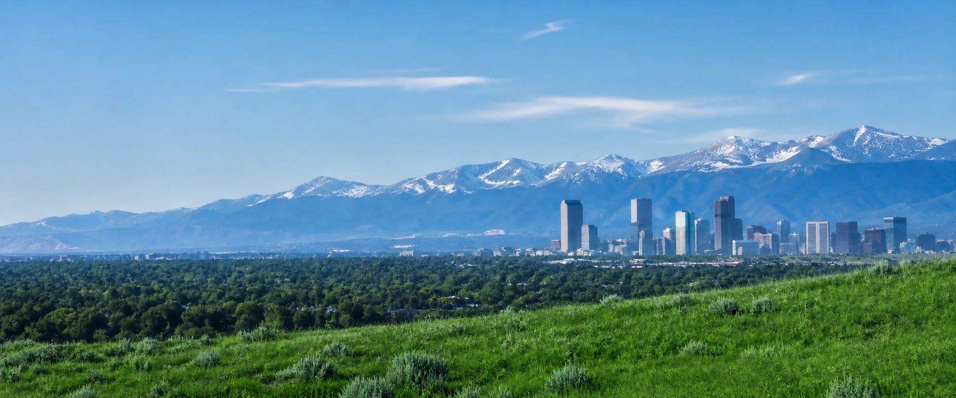 The Denver skyline with the snow-capped Rocky Mountains behind, seen across green parkland